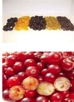 Gericke Nibbler – gentle de-agglomeration of packaged raisins, and packaged cranberries
